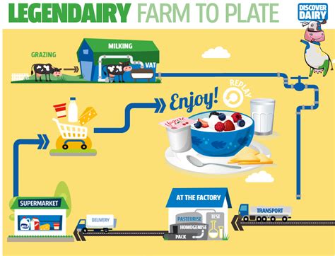 From Farm to Plate: The Journey of the Shimmering Nuggets