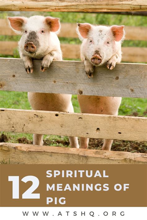 From Folklore to Psychology: Decoding the Meaning Behind Swine Flight Symbolism