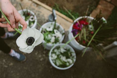 From Garden to Black Market: The Trade in Stolen Flowers