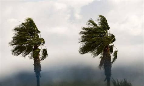 From Gentle Breeze to Gale Force: Understanding the Significance of Wind in Dream Interpretation