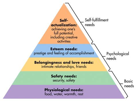 From Imagination to Actualization: Implementing Insights Acquired