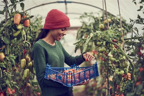 From Imagination to Reality: Exploring the World of Harvesting Fresh Produce