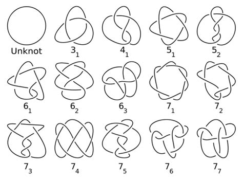 From Knots to Networks: The Modern Applications of Knot Theory