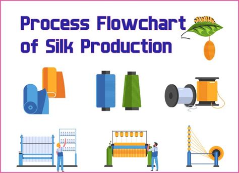 From Larva to Marvel: The Intricate Process of Silk Production