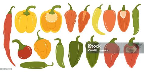 From Mild to Fiery: The Vast Assortment of Green Peppers