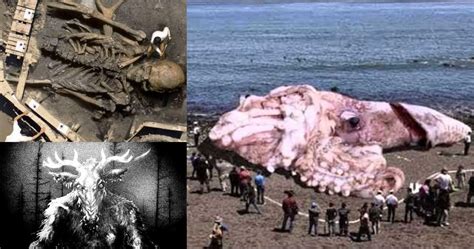 From Myth to Reality: Examining the Existence of Magnolia Monsters