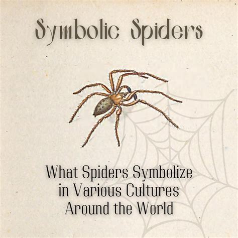 From Mythology to Dreams: The Cultural Interpretations of Spiders