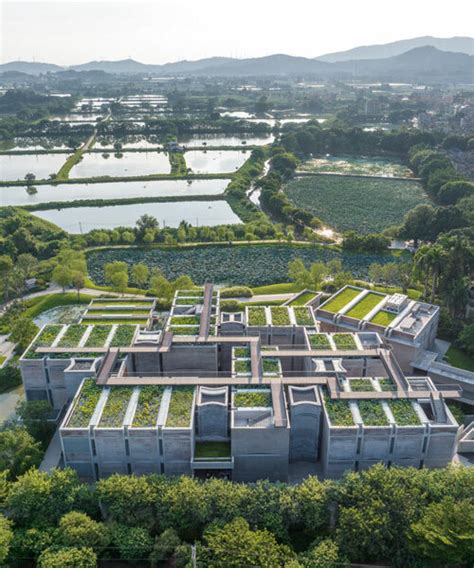 From Mythology to Modernity: Lotus Ponds as Cultural Icons