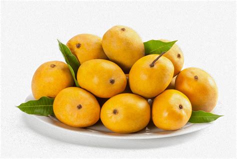 From Orchard to Plate: The Journey of Mangoes