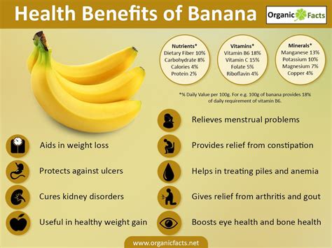 From Packed Nutrition to Irresistible Sweetness: The Health Benefits of Tiny Bananas