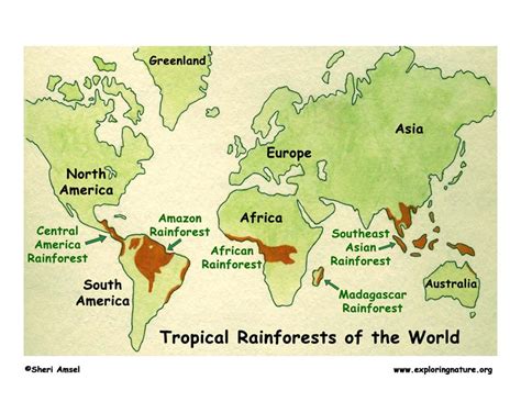 From Rainforests to Riverbanks: Habitat and Distribution