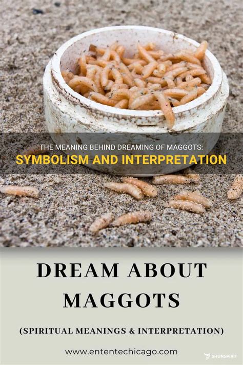 From Repulsion to Pleasure: Cross-Cultural Perspectives on Maggot Symbolism in Dream Interpretation