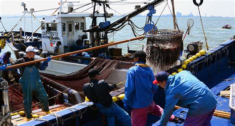 From Sea to Plate: Exploring Sustainable Fishing Practices