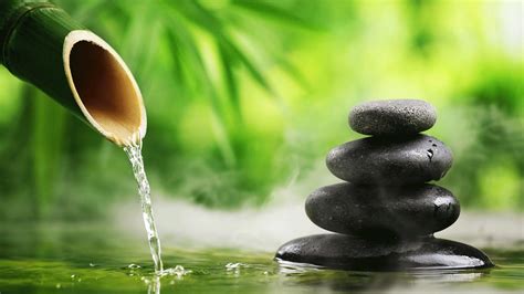 From Spa to Home: Embracing Misting for Relaxation and Well-being