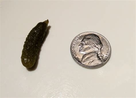 From Tiny to Tremendous: The Astounding Growth of Nickel The Pickle