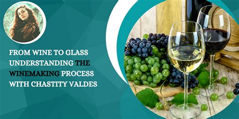 From Vine to Glass: Understanding the Winemaking Process