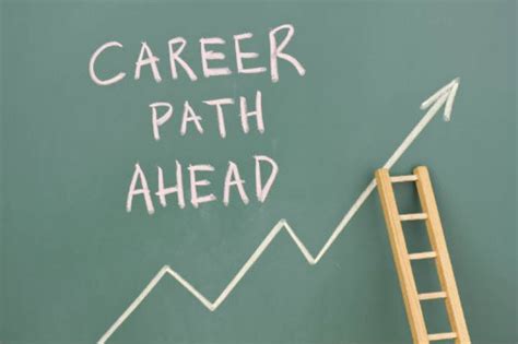 Future Prospects and Career Plans