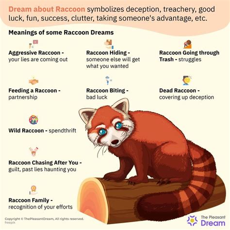 Gaining Insights into Personal Emotions from Dreaming about Escaping a Mischievous Raccoon