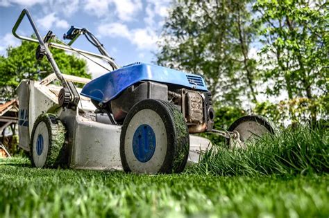 Garden Maintenance Made Easy: Tools and Techniques for Effortless Yard Care