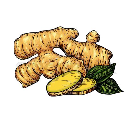 Ginger Root as a Representation of Passion and Desires in Dreams