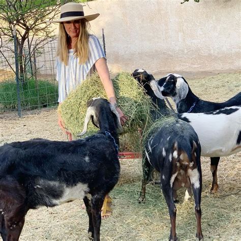 Goat Therapy: the Healing Power of Joyful Connections