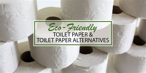 Going Green: Eco-Friendly Alternatives to Toilet Paper