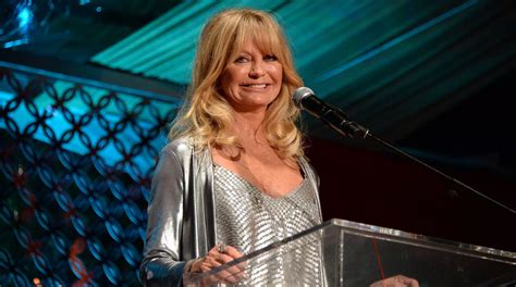 Goldie Hawn: The Life and Career of a Hollywood Icon