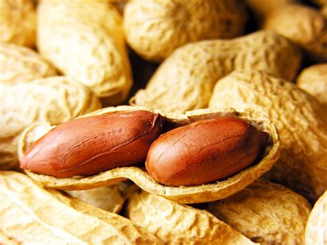 Groundnuts: A Multifunctional Ingredient in Your Culinary Arsenal