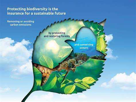 Guardians of the Planet: Examining the Environmental Benefits of Plant Conservation