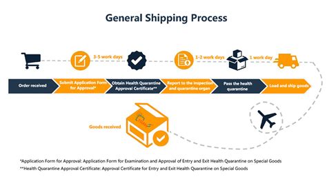 Guide to International Shipping: Making Your Delivery Desires Come True