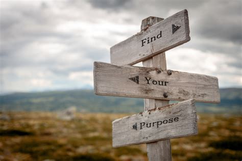 Guiding Your Path: Using Your Dream's Map to Gain Clarity and Direction in Your Life