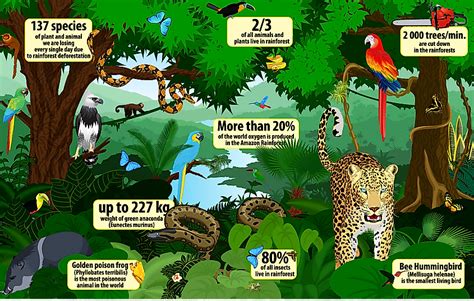 Habitat and Distribution: From Tropical Rainforests to Urban Jungles