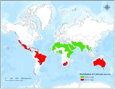 Habitats and Geographic Distribution of Enormous Raptors