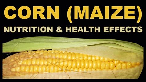 Harnessing the Potential: Exploring the Nutritional Benefits of Maize Seeds