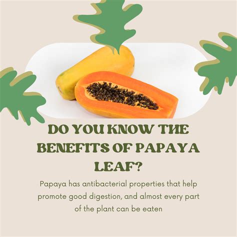 Harnessing the Power of Papaya Dreams for a Positive Pregnancy Experience