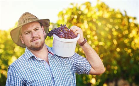 Harvesting and Enjoying the Fruits of Your Labor