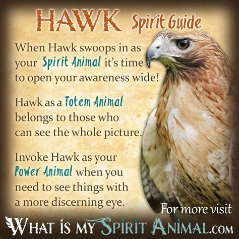 Hawk as a Symbol of Power: Understanding its Role in Mythology and Folklore