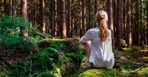 Healing Powers: The Therapeutic Effects of Arboreal Reveries