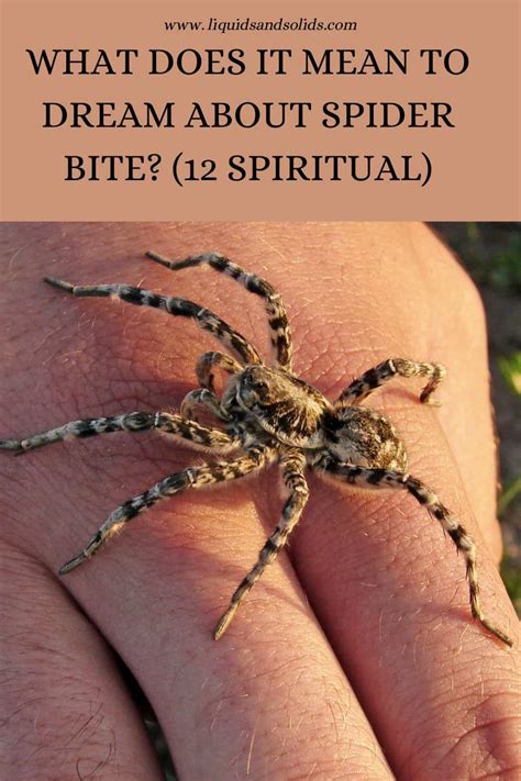 Healing and Transformation: Discovering Positive Messages in Dreams of Spider Bite on the Left Hand