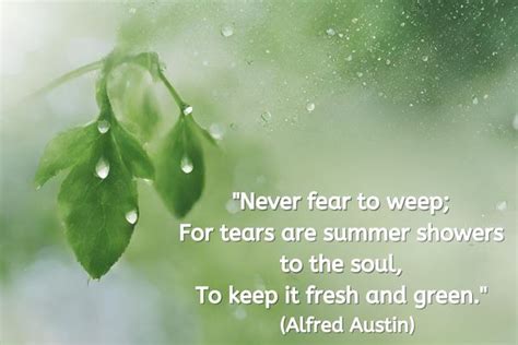 Healing the Tears: Embracing Vulnerability and Moving Forward from Frayed Dreams