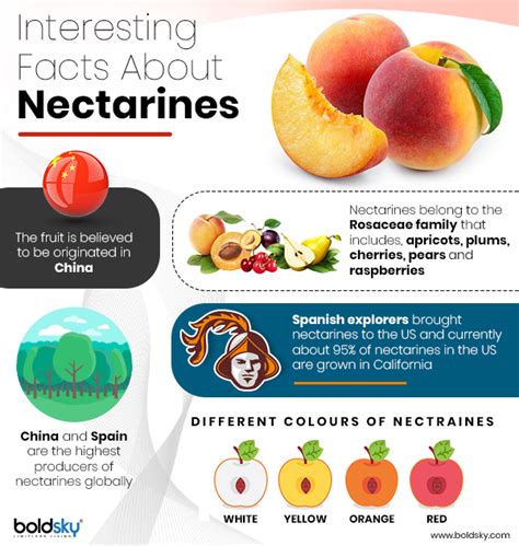 Health Benefits Beyond the Taste: How Nectarines Promote Well-being