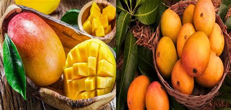 Health Benefits of Mangoes: Boosting Immunity and More