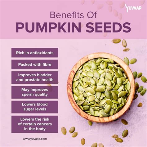 Health Benefits of Pumpkins: Nutritional Powerhouses for Your Well-being