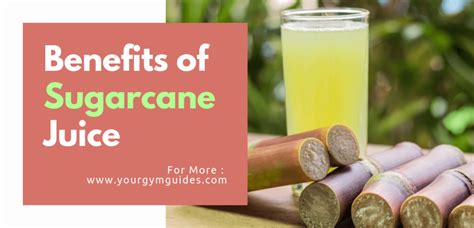 Health Benefits of Sugarcane Juice: Enhancing Your Well-being