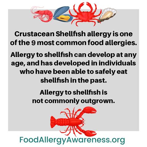 Health Considerations: Allergies and Contaminants in Shrimp and Crab