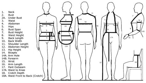 Height, Figure, and Fashion Industry Standards