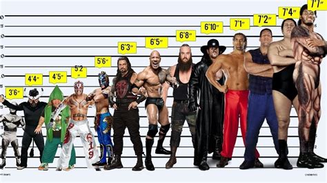 Height: How tall is the Accomplished Wrestler?