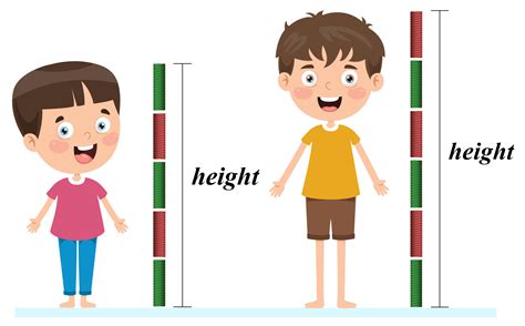 Height: Measurements and Comparisons