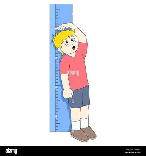 Height: The Measurement You've Been Curious About