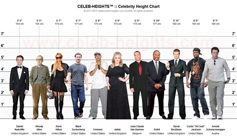 Height Comparison with Other Celebrities